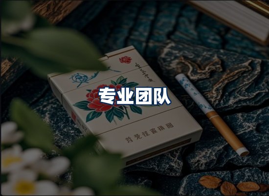 专业团队